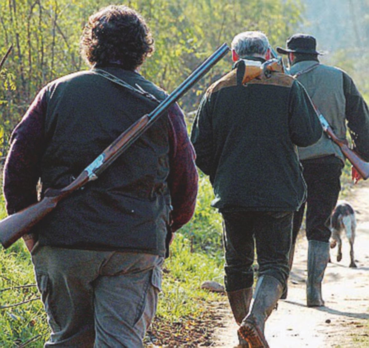 Copertina di Arriva la legge regionale dei cacciatori: multa di 3.600 euro a chi li disturba