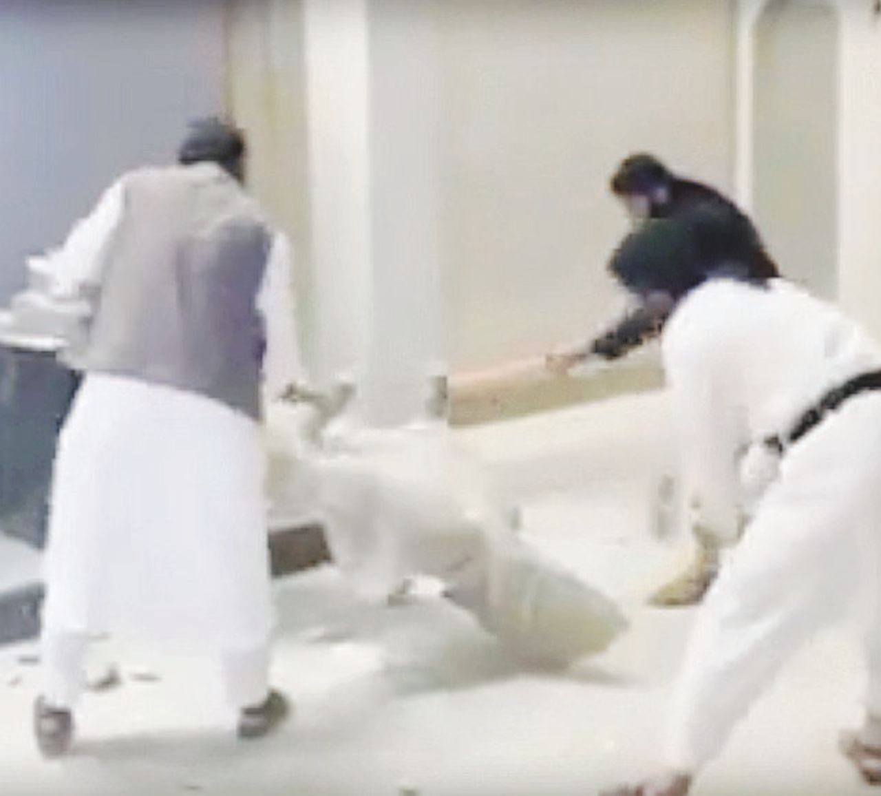 Copertina di Il Michelangelo di Mosul scolpisce contro l’Isis