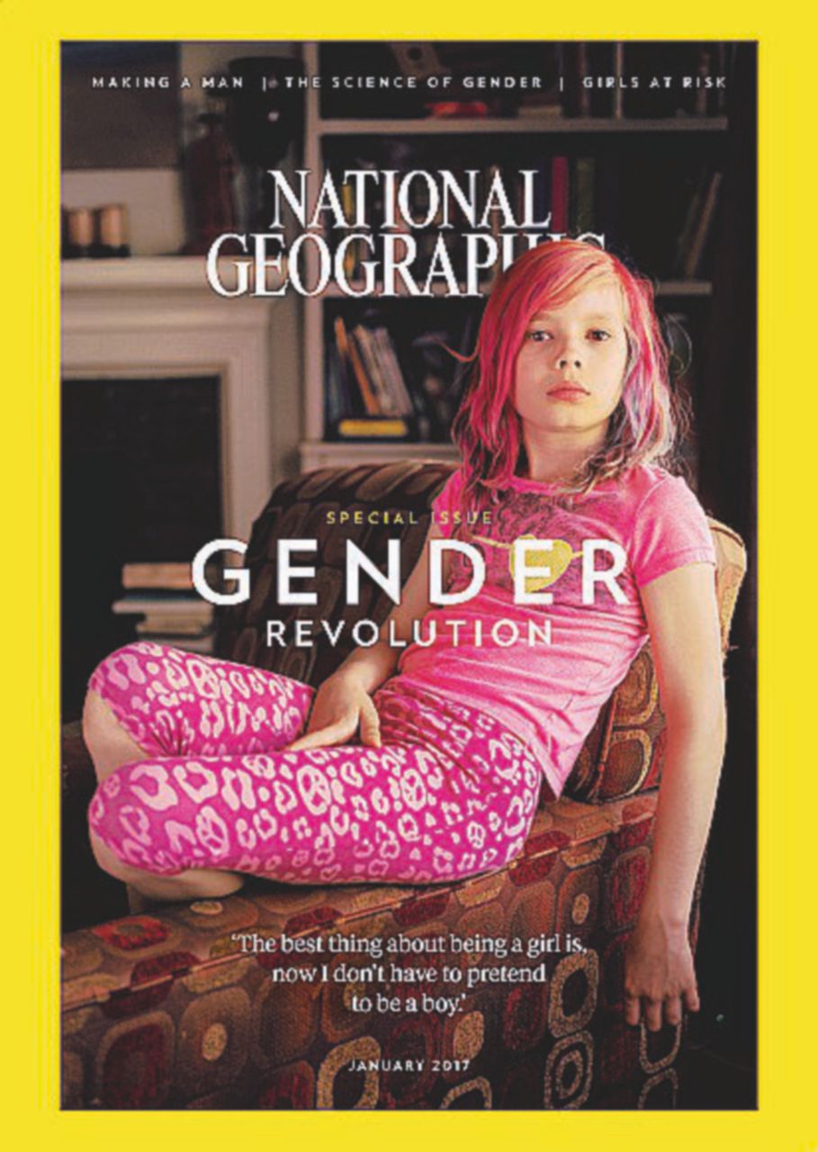 Copertina di Ally, Brian e tutti gli altri: “Il gender non è una teoria”