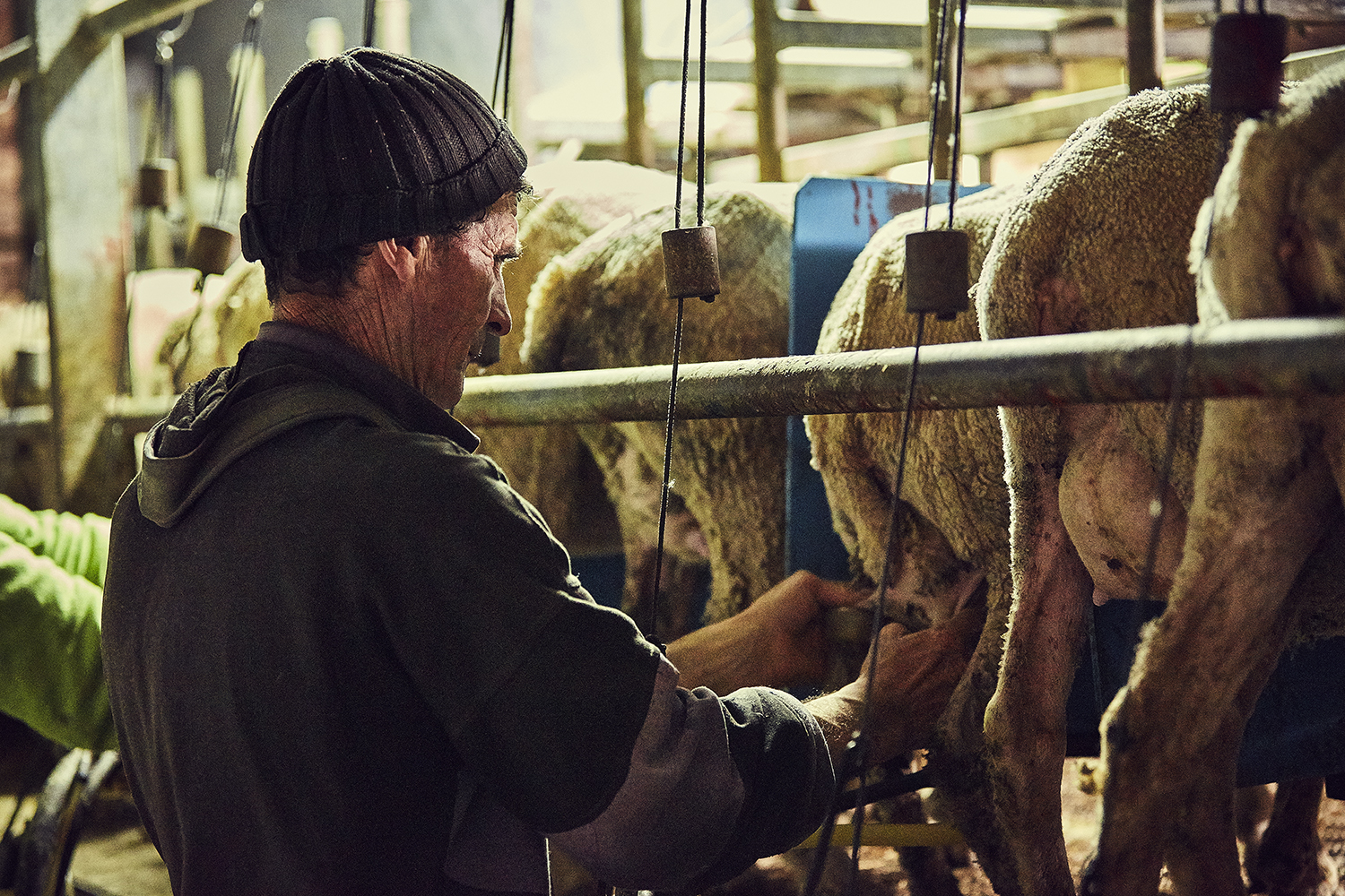 Nunzio Marcelli e il ricordo di una fetta di pane con il formaggio Nunzio Marcelli e il ricordo di una fetta di pane con il formaggio