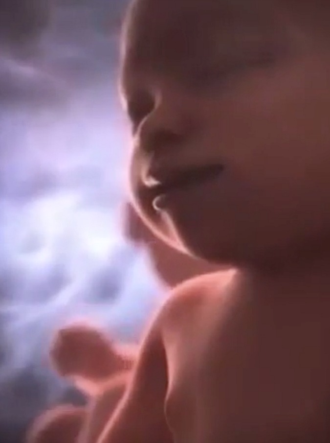 Copertina di Festival di Sanremo, sui social lo spot che scopiazza i Massive Attack: i feti cantano “Non ho l’età”. E fioccano le polemiche