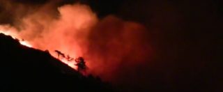 Copertina di Incendi sulle alture di Genova: decine di sfollati, scuole chiuse e traffico in tilt