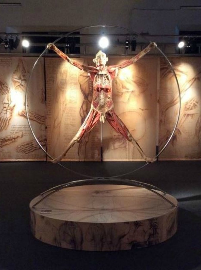 Copertina di Real Bodies, foto hot con i cadaveri: bloccate tre ventenni bolognesi