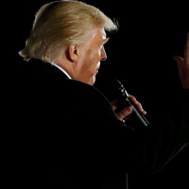 Donald Trump, scoperta una falena con lo stesso ciuffo del presidente