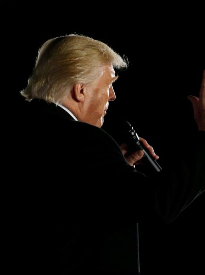 Donald Trump, scoperta una falena con lo stesso ciuffo del presidente