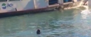 Copertina di Venezia, migrante si uccide gettandosi nel Canal Grande davanti a centinaia di persone: la scena ripresa in un video
