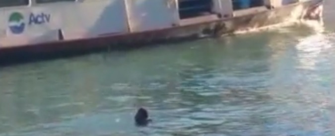 Venezia, migrante si uccide gettandosi nel Canal Grande davanti a centinaia di persone: la scena ripresa in un video