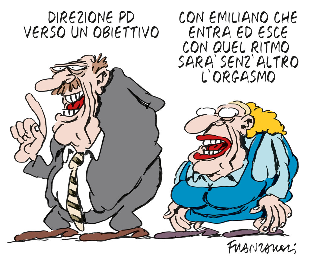 Copertina di La vignetta di Franzaroli