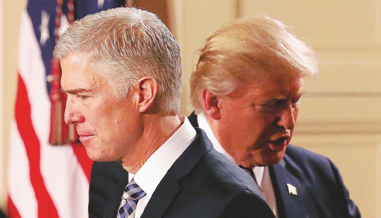 “Donald è arrogante ma non viola la legge”