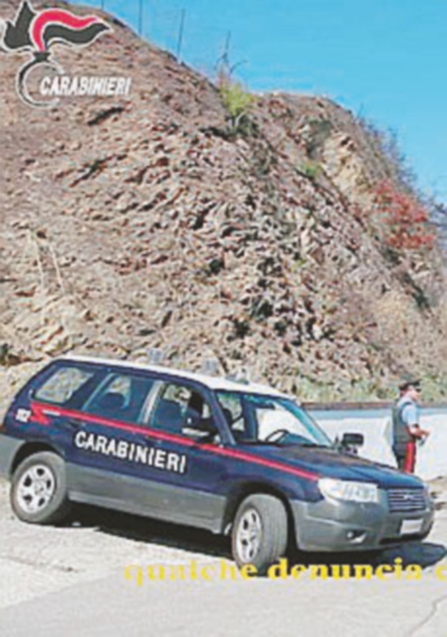 “Contadini vessati e frodi alla Ue”: colpiti i clan dei Nebrodi