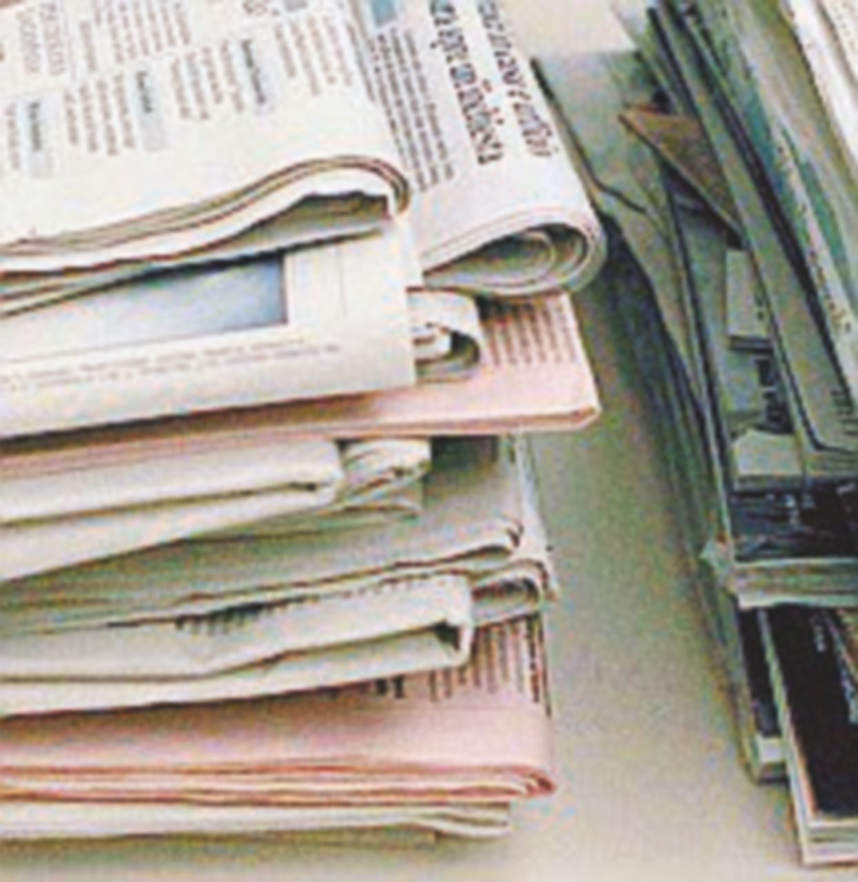 “Frocio” è lungo, meglio scrivere gay