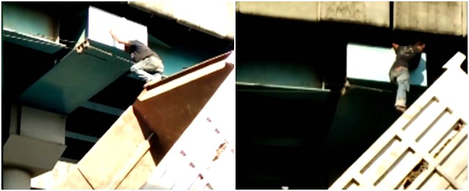 Copertina di Il camionista ha il cuore d’oro. Guardate cosa si inventa per salvare un gatto