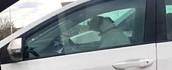 Copertina di Stanco di aspettare il padrone, questo cane decide di richiamare la sua attenzione…