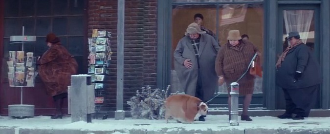 Copertina di “Mangia come ciò che vuoi essere”, con lo spot di Edeka il mito di Icaro diventa virale