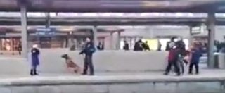 Copertina di Paura in stazione, cane poliziotto aggredisce un’anziana e la spinge sui binari