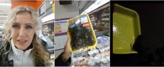 Copertina di La battaglia di Licia Colò, compra granchi vivi al supermercato e li libera in mare: “Non è giusto”
