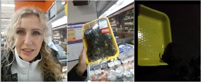 La battaglia di Licia Colò, compra granchi vivi al supermercato e li libera in mare: “Non è giusto”