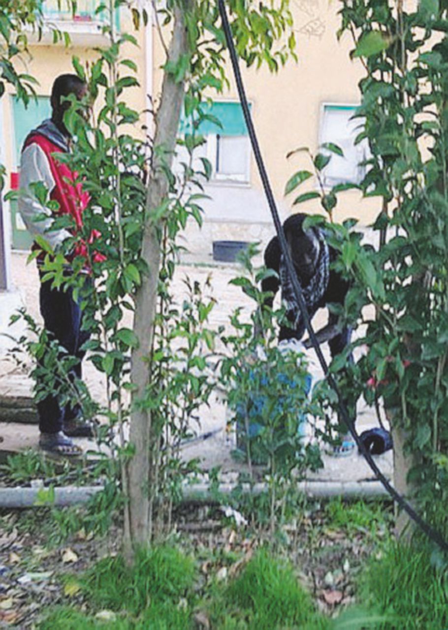 Due ospiti nel centro pugliese Nella masseria dei migranti scampati al rogo