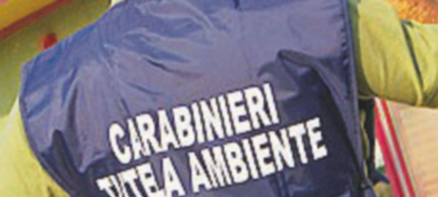 Sigilli alla discarica del “polveroni” Ilva: “È di un boss mafioso” Sigilli alla discarica del “polveroni” Ilva: “È di un boss mafioso”