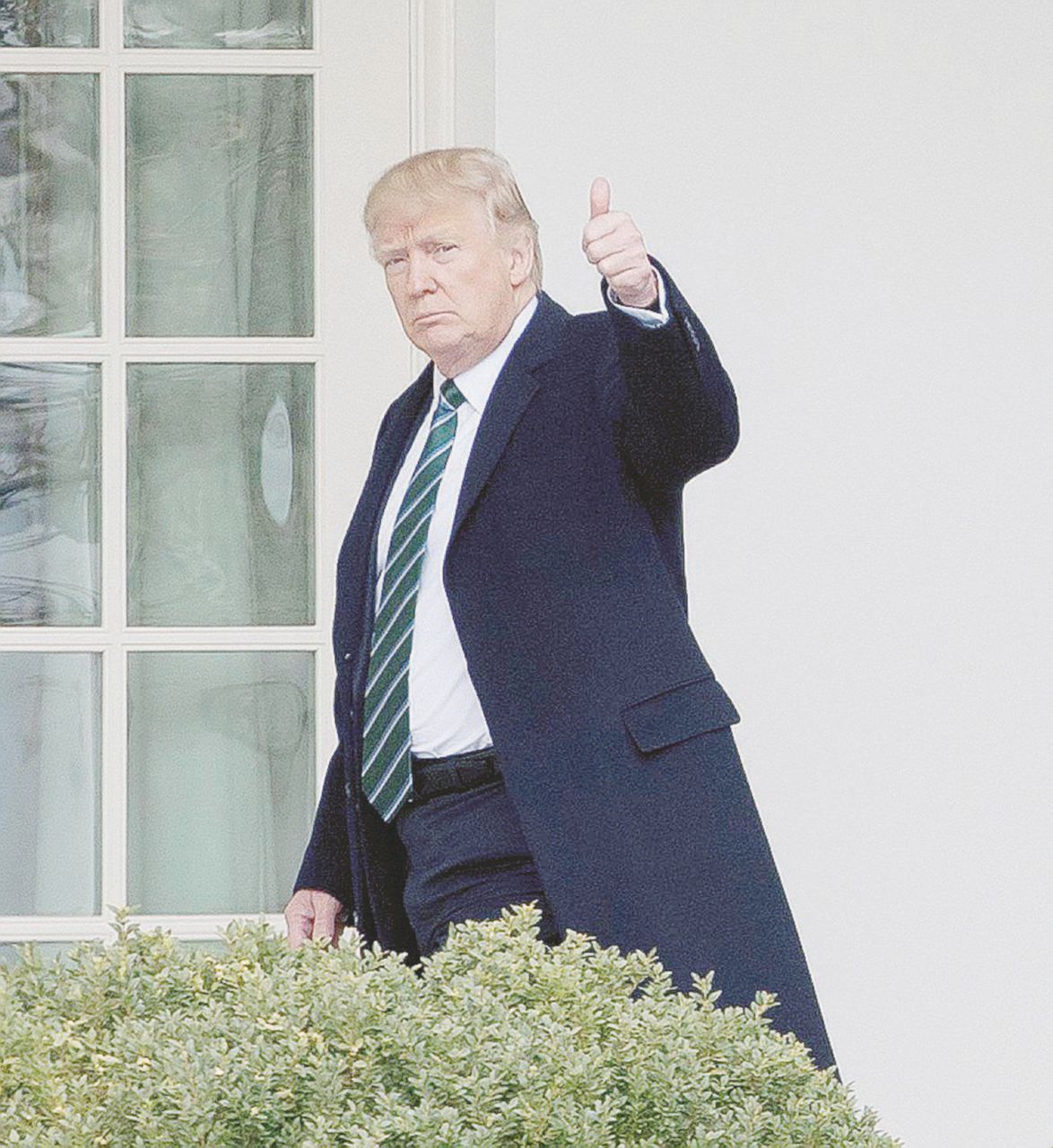 Tumb up - Il gesto di Donald Trump dal colonnato della Casa Bianca - Ansa Le verità di Trump e lo psico-twitter del suo vendicatore