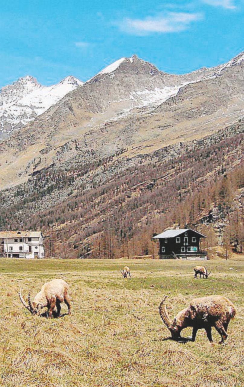 Tutela - Il Gran Paradiso - Ansa Una legge per distruggere i parchi nazionali