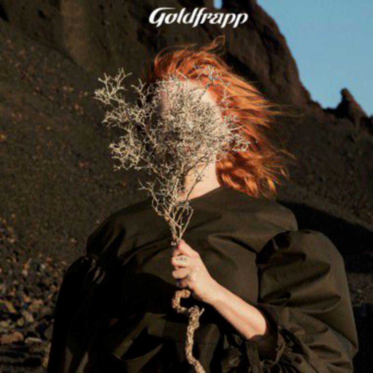 Copertina di L’eclettismo indiscusso dei plurali Goldfrapp