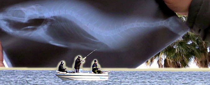 Copertina di “Quel pesce finisce nei ristoranti”. I fondali inquinati di Augusta non fermano la pesca illegale, che arriva sulle tavole dei siciliani