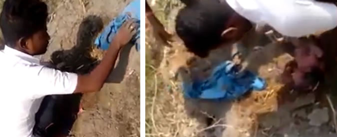 Copertina di Sepolta viva a poche ore dalla nascita, bimba indiana viene alla luce per la seconda volta. È salva