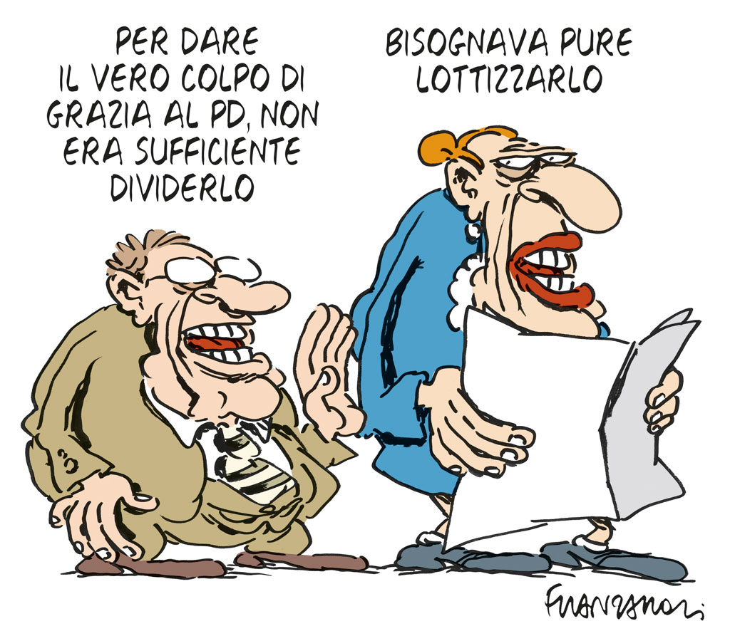 Copertina di La vignetta di Franzaroli