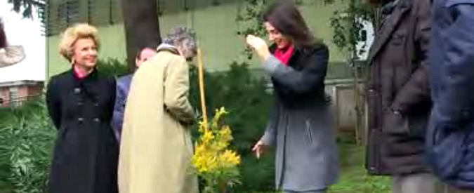 Copertina di Una mimosa a Rebibbia, Virginia Raggi scherza: “La vanga? No, non sono Alemanno”