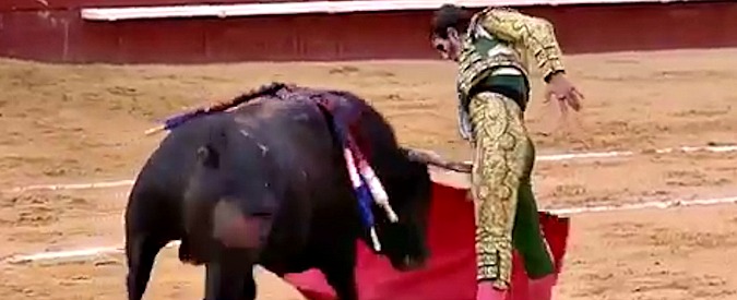 Copertina di Il torero ci riprova e viene incornato di nuovo. Aveva già perso un occhio sei anni fa
