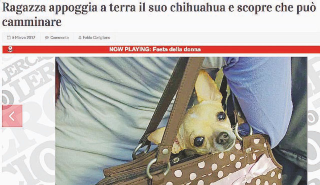Non solo Web - Alcune notizie di Lercio. A breve uscirà per Shockdom “Lercio. Lo sporco che fa notizia. Il Libro” Lercio: “I lettori scambiano le bufale per notizie vere? Non bastano leggi e divieti, serve la cultura”