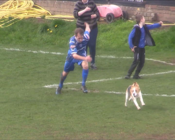 Copertina di Calcio, l’invasione di campo è tutta da ridere. Partita sospesa per acciuffare l’incursore