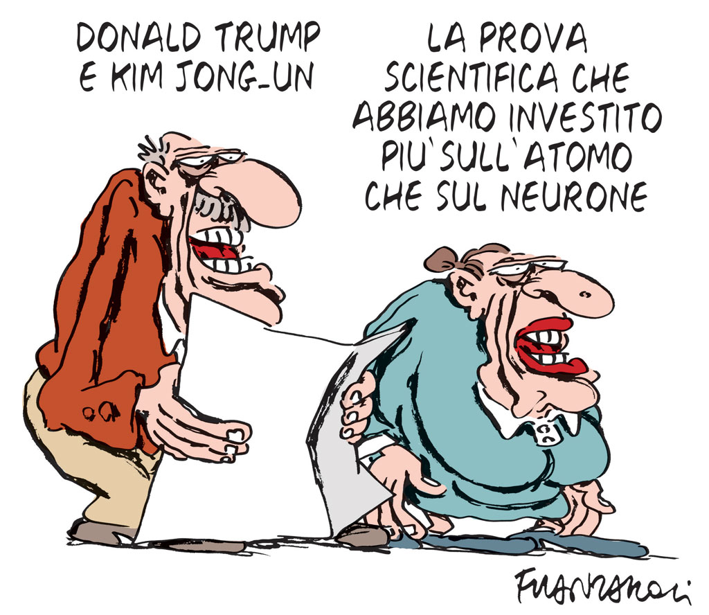 Copertina di La vignetta di Franzaroli