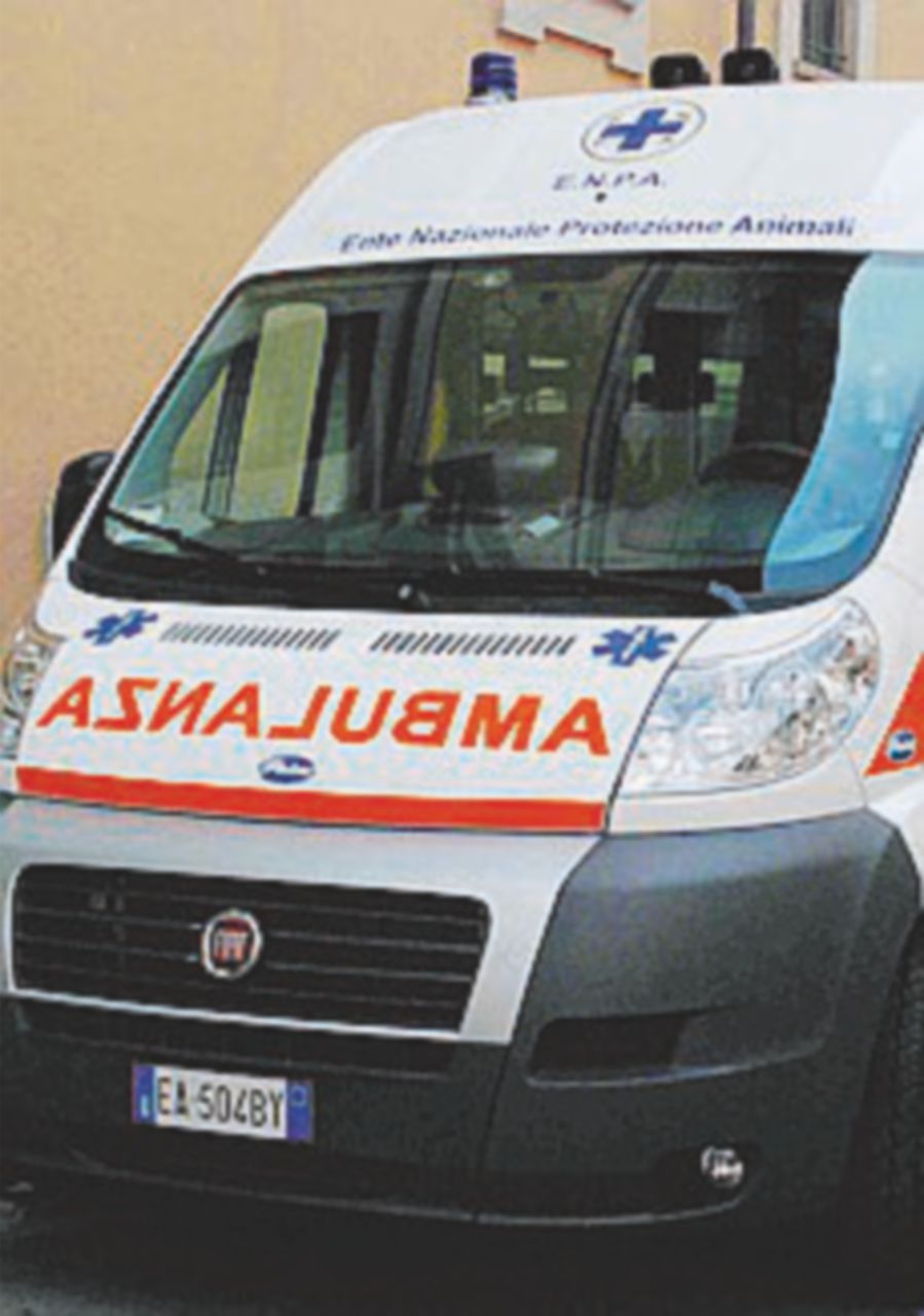 Muore in azienda a 21 anni, travolto da sbarre di metallo Muore in azienda a 21 anni, travolto da sbarre di metallo
