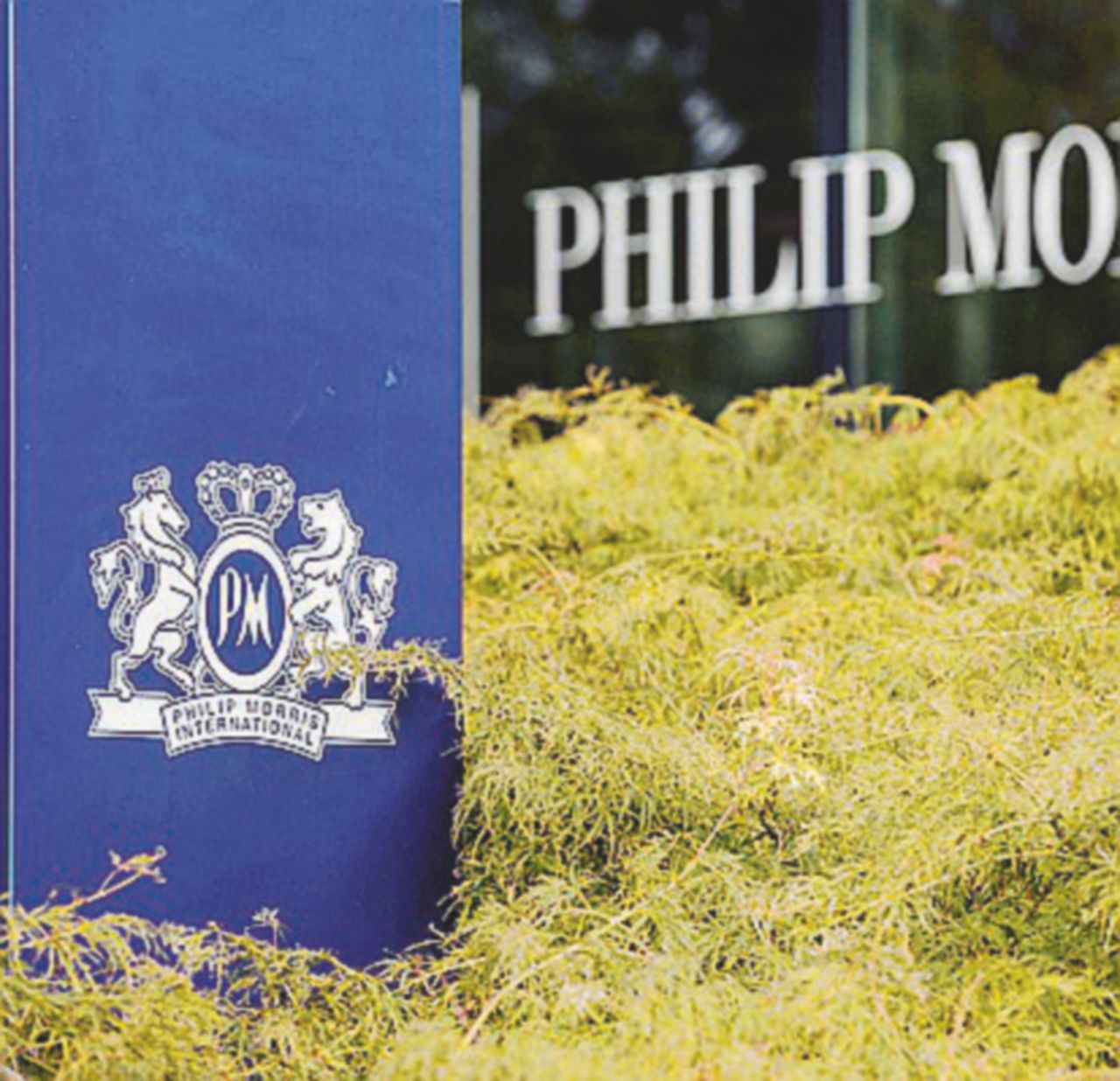 La Philip Morris - Ansa Dai soldi alla Fondazione di Renzi agli show in fabbrica: le industrie che vivono di politica
