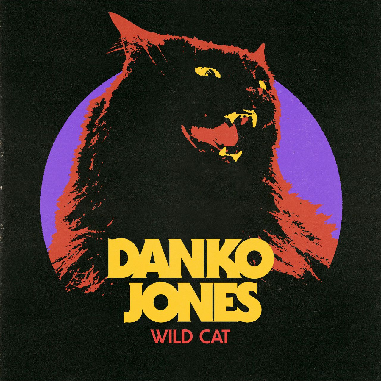 Copertina di Danko Jones, riff granitici e tanta, tanta adrenalina