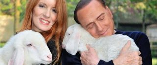 Copertina di Berlusconi vegano e animalista, salva cinque agnellini dalle tavole pasquali: “Scegli la vita, scegli veg”