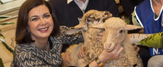 Copertina di Laura Boldrini adotta due agnellini e li porta a Montecitorio: “Li ho salvati dalla macellazione”
