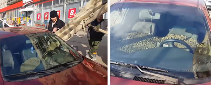 Copertina di La moglie cambia cognome ma il marito non è d’accordo. La vendetta è folle