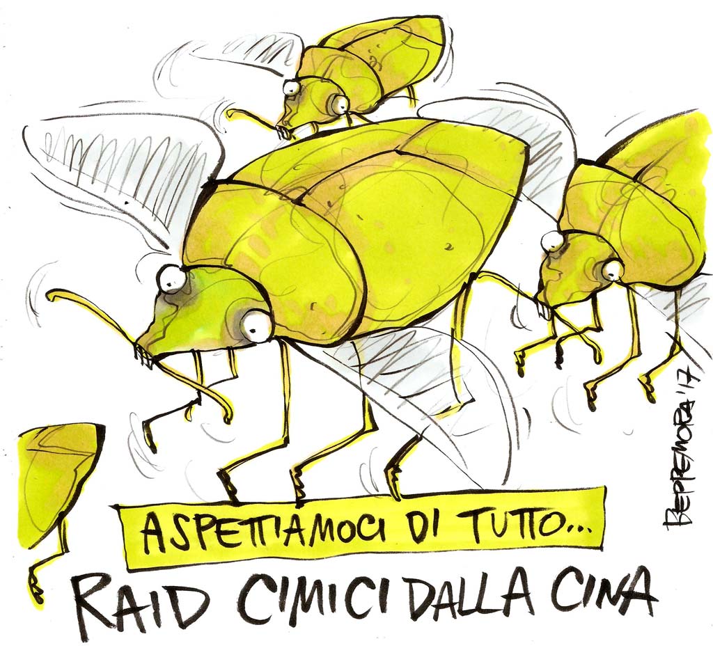 Copertina di vignetta beppe mora