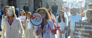 Copertina di Pasqua, “Iene vegane” manifestano davanti al Duomo di Milano: “Stop al sacrificio degli agnellini”