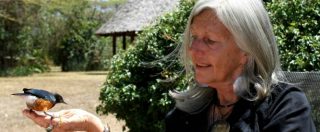 Copertina di Kuki Gallmann, spari in Kenya contro la scrittrice italiana: è grave