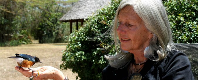Kuki Gallmann, spari in Kenya contro la scrittrice italiana: è grave