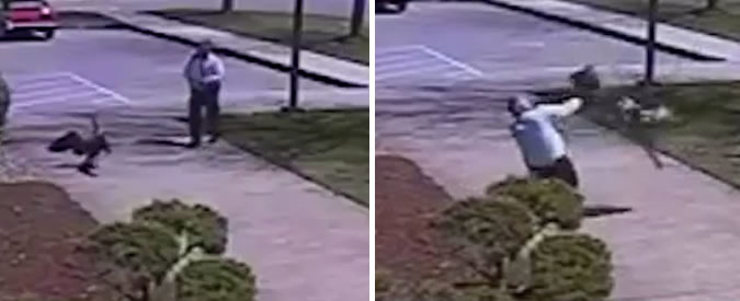 Copertina di Non fate arrabbiare l’oca o potreste fare la fine di questo poliziotto. La scena è esilarante