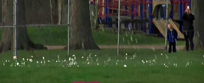 Copertina di La pioggia più amata dai bambini è in Michigan. Guardate cosa cade dal cielo