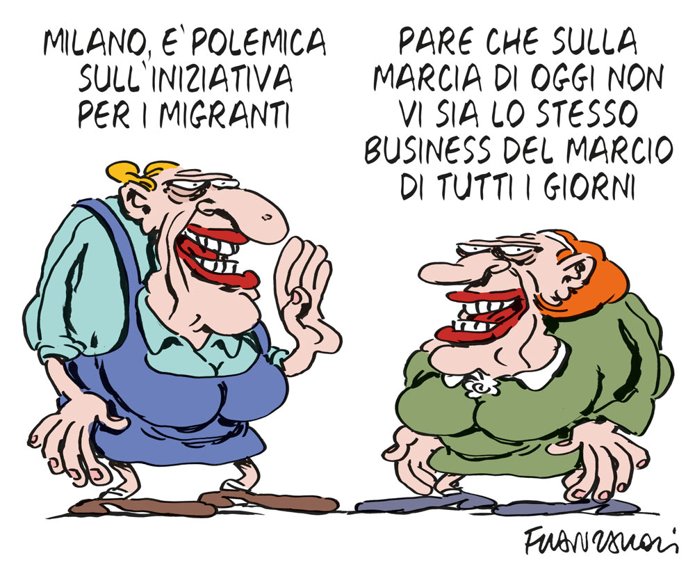 Copertina di La vignetta di Franzaroli