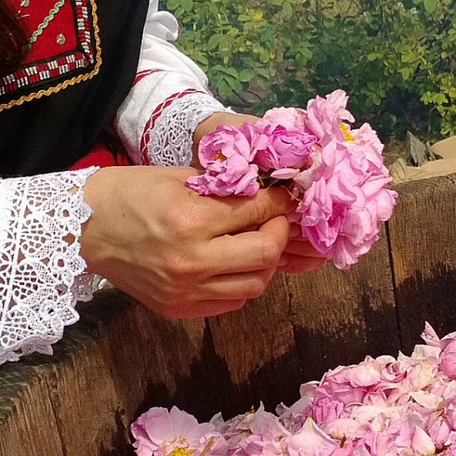 Viaggi low cost: il 2 giugno in Bulgaria, al festival delle rose di Kazanlak