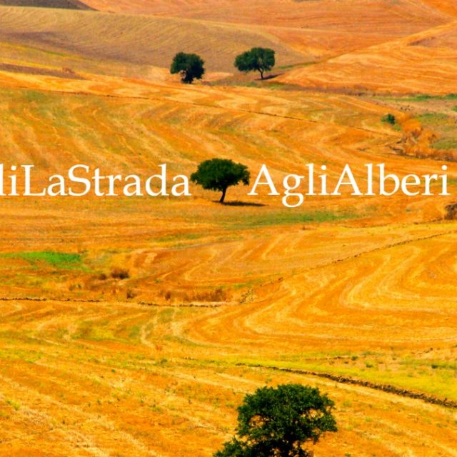 #CediLaStradaAgliAlberi: dalla raccolta di Franco Arminio nasce la sfida fotografica che unisce voglia di poesia e amore per la natura