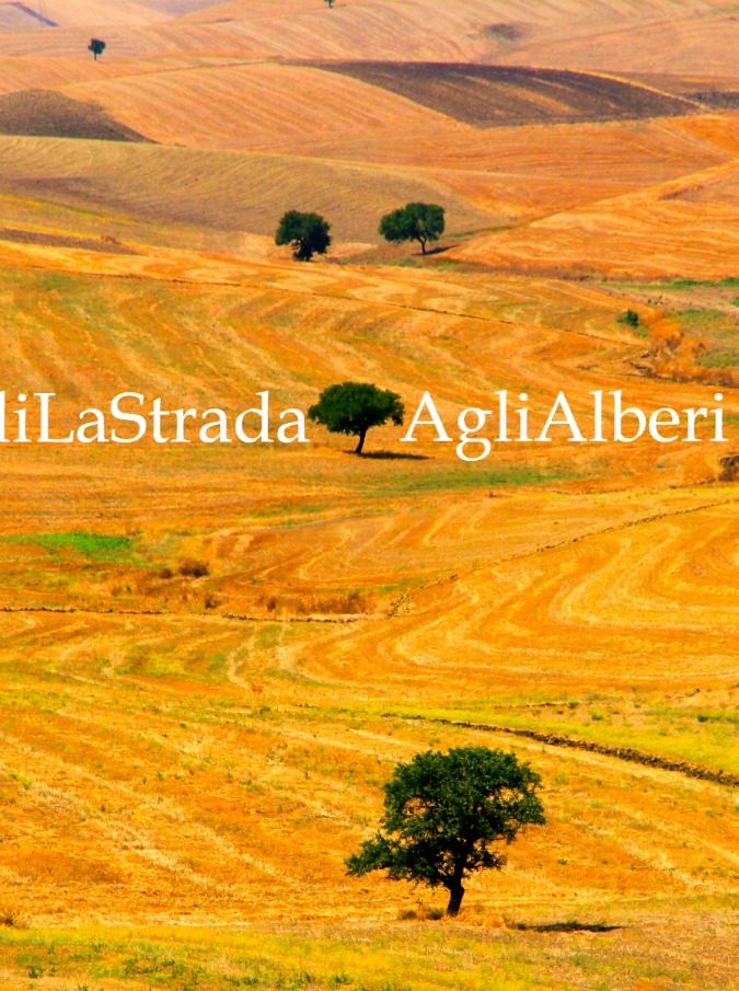 #CediLaStradaAgliAlberi: dalla raccolta di Franco Arminio nasce la sfida fotografica che unisce voglia di poesia e amore per la natura